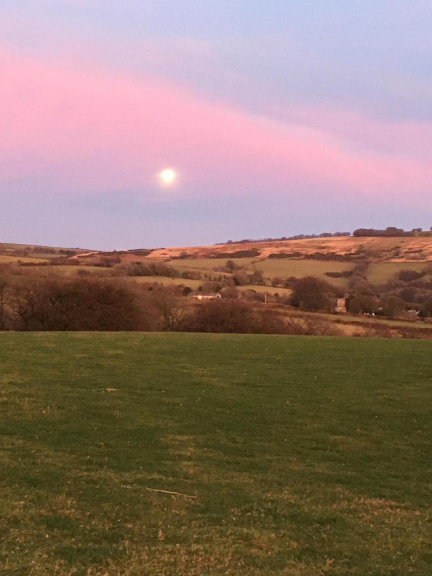 Headgate Farm Camp Site - Pitches Only South Molton